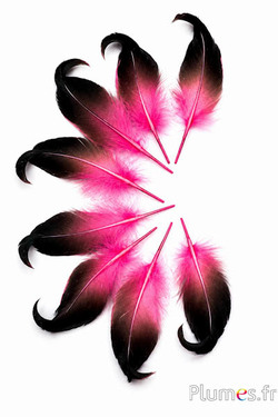 Anatra - 6-9 cm - fucsia-nero